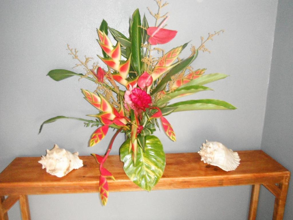 Classique International In Dominica Marigot Quarto foto
